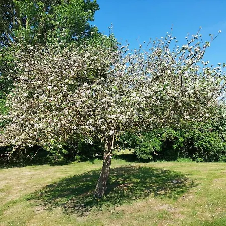 L'abri Des Pommiers * Portbail