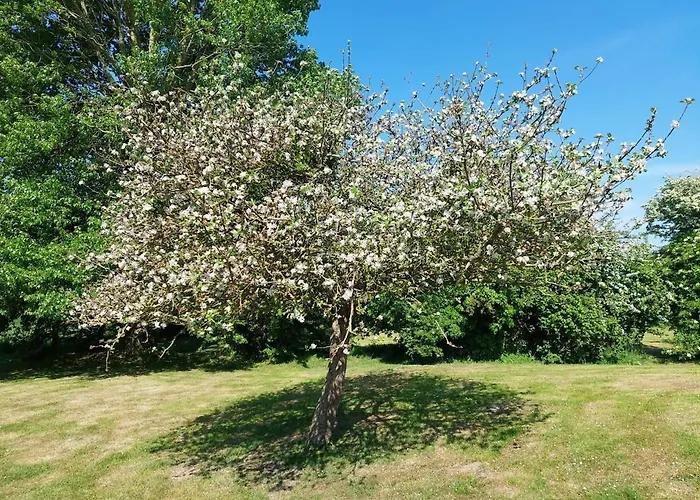 L'abri Des Pommiers * Portbail